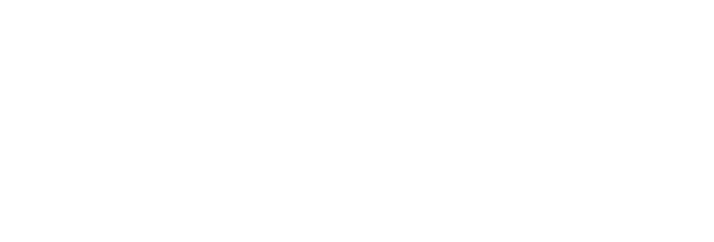VBMSoft